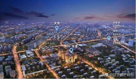 大东未来5年房价,大东最新房价消息