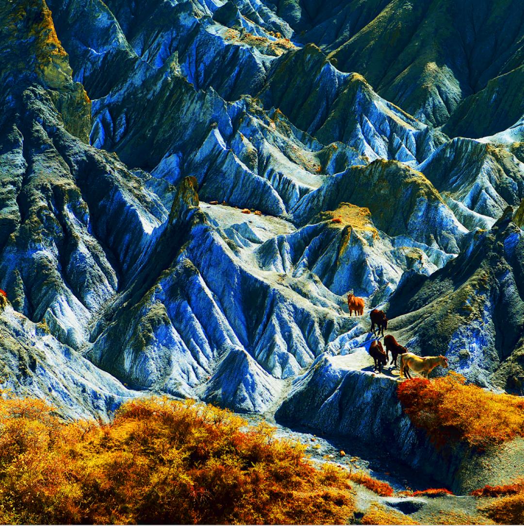 什么时候去稻城最好,什么时候去稻城