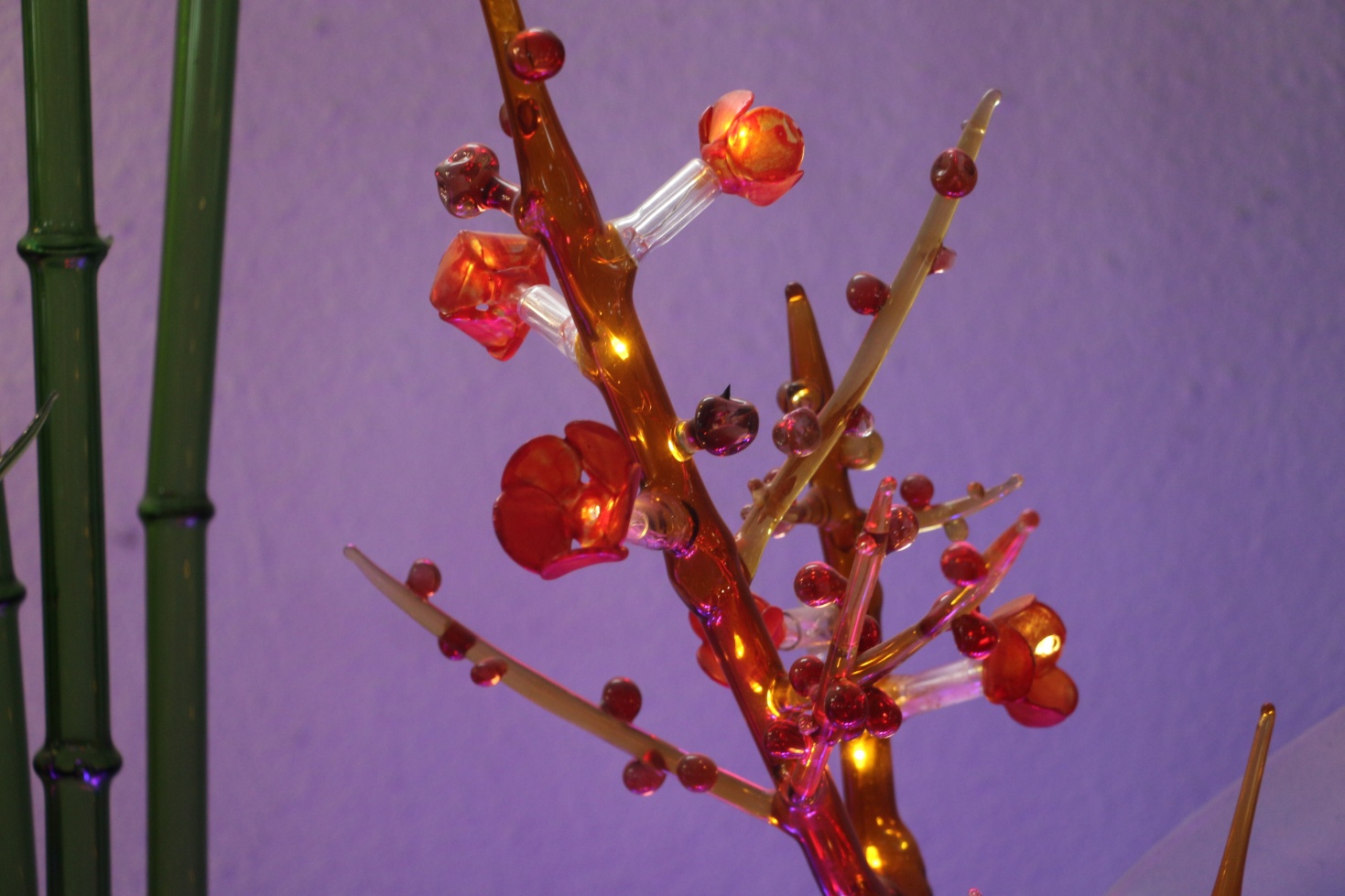 蜀人钟子专访视频,蜀人钟子