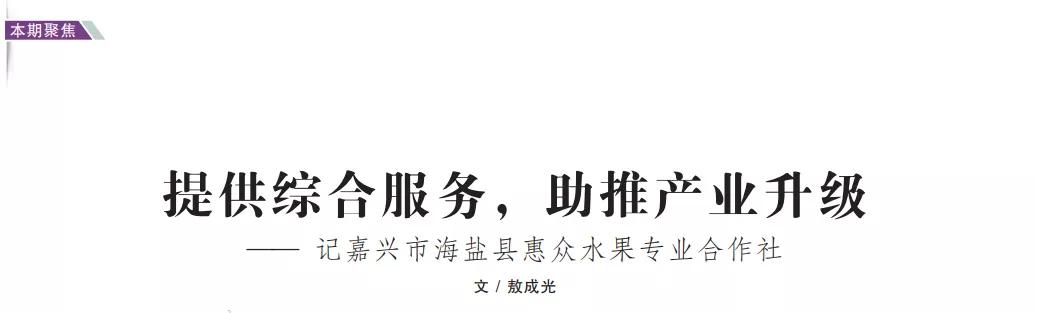 提供综合服务，助推产业升级——记嘉兴市海盐县惠众水果专业合作社