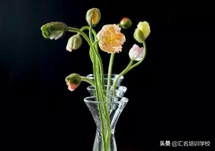 花艺十六种手法,流行花艺简单教学