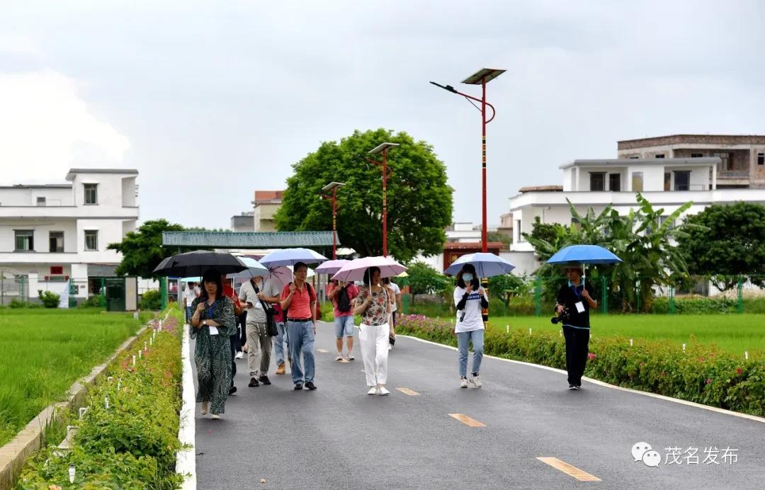 乡村振兴看光辉,乡村振兴看东富