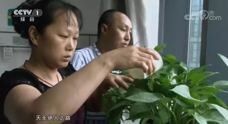 姑息治疗和临终关怀,社会对癌症患者有什么救助