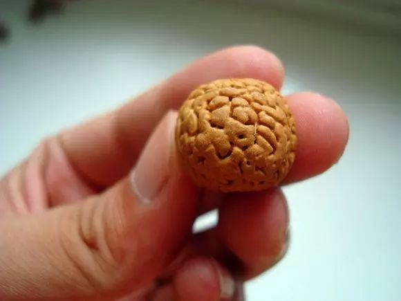 脑纹桃核是圆的吗,脑纹桃核广东能种吗