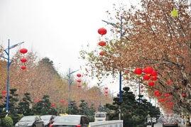 2019开篇｜继续走着，笑着歌笑点