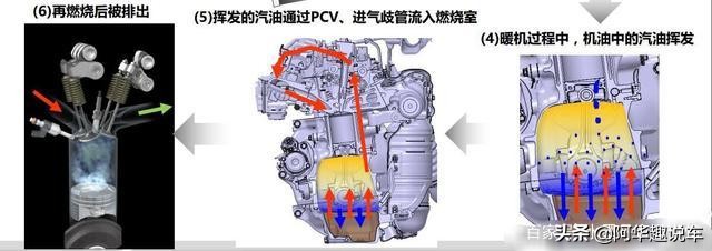 本田汽车和一汽大众哪个好,本田车与大众车哪个耐用