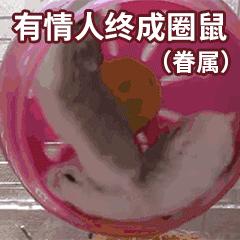 为啥鼠能排12生肖老大？先把这份拜年祝福语读懂再说