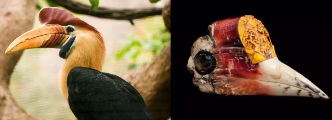 一辈子都不能碰的七种文玩,这10种文玩都是违禁品最好别碰