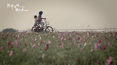 豆瓣9.2分的教训,豆瓣9.7可怕之处