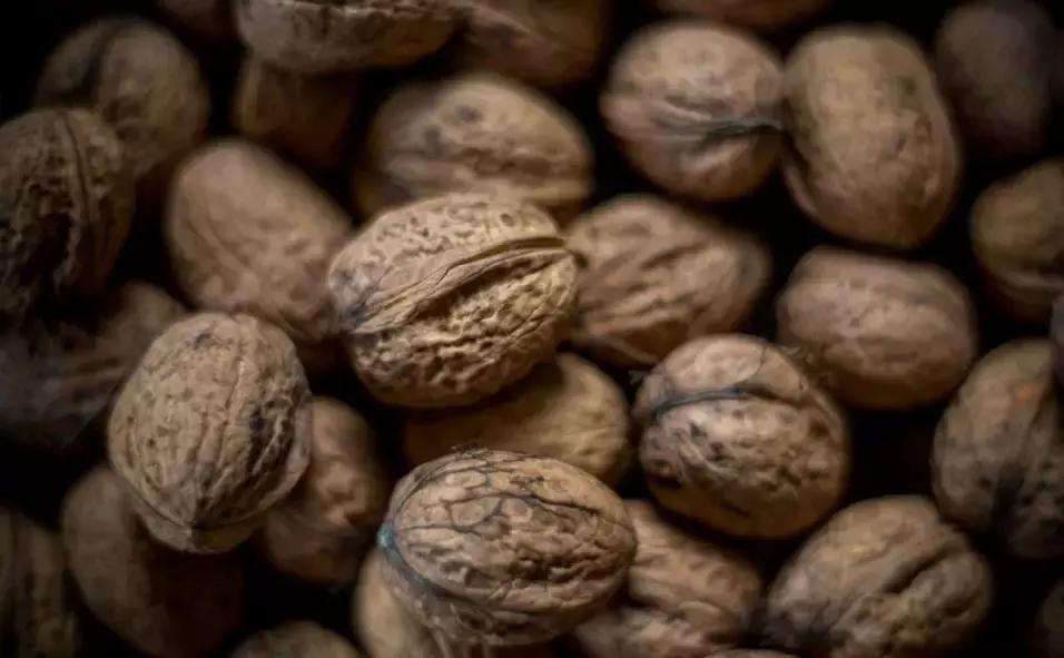 降血脂适合吃的三种坚果,哪些干果最适合三高人群