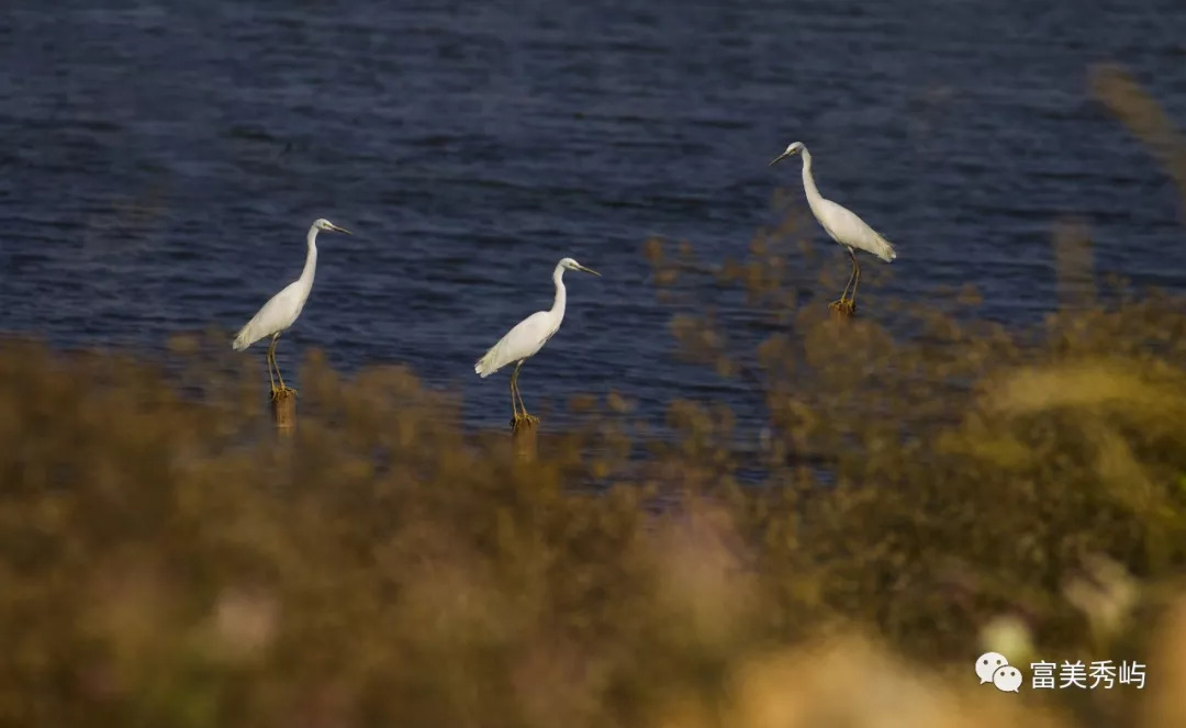 莆田端午旅游攻略,莆田端午节游玩攻略