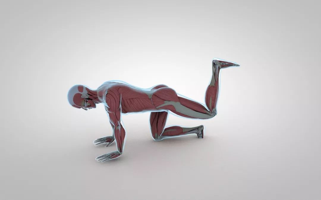 5个臀部动作练屁股,5个需要了解的臀部训练