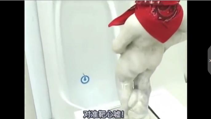 岛国的厕所有多奇葩？