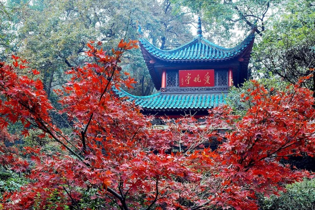 长沙适合野餐的地方,长沙周边遛娃一日游玩最佳地方