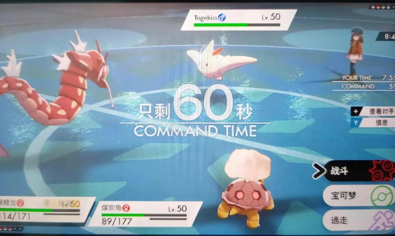 宝可梦剑盾通关队伍推荐,宝可梦剑盾前期推荐培养