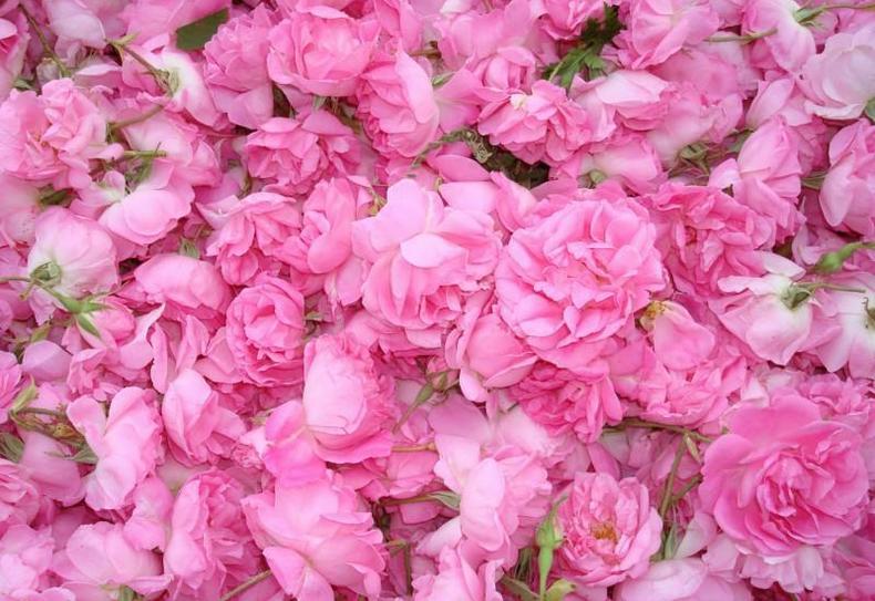 有些护肤品闻起来就是爱情的味道