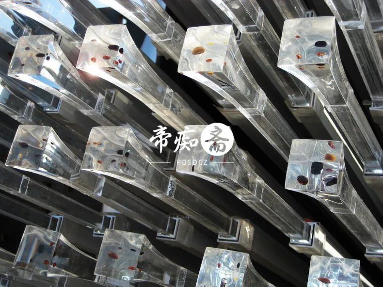 海底世界大比拼,海底世界大战