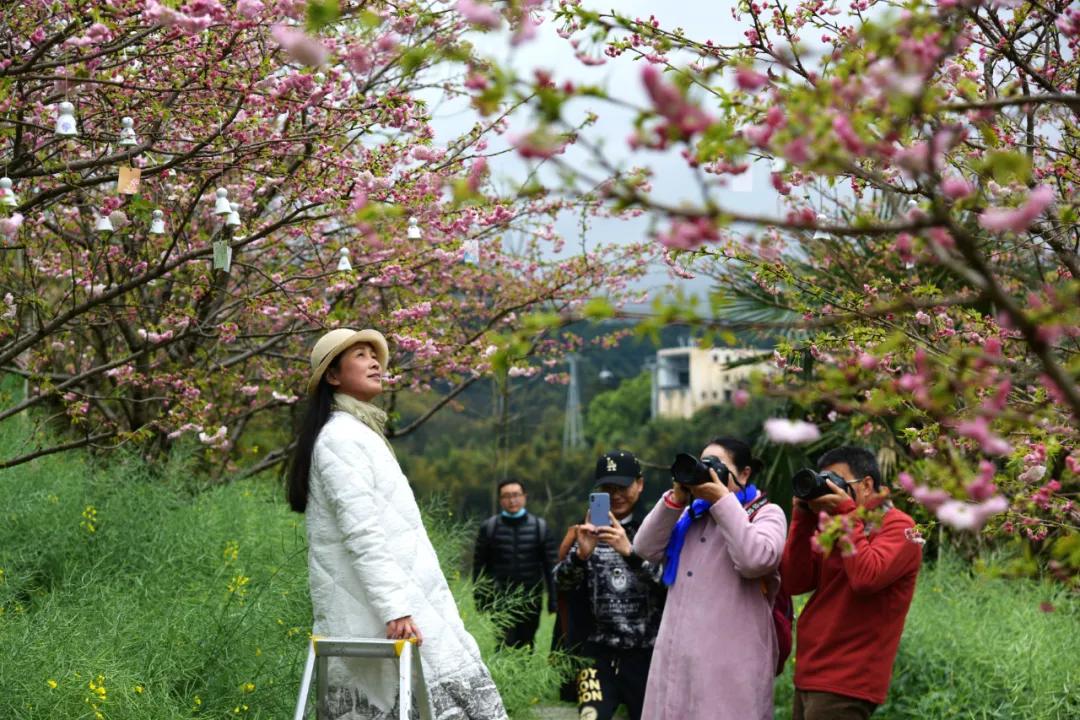 樱花烂漫时汉服少女,樱花烂漫时相遇
