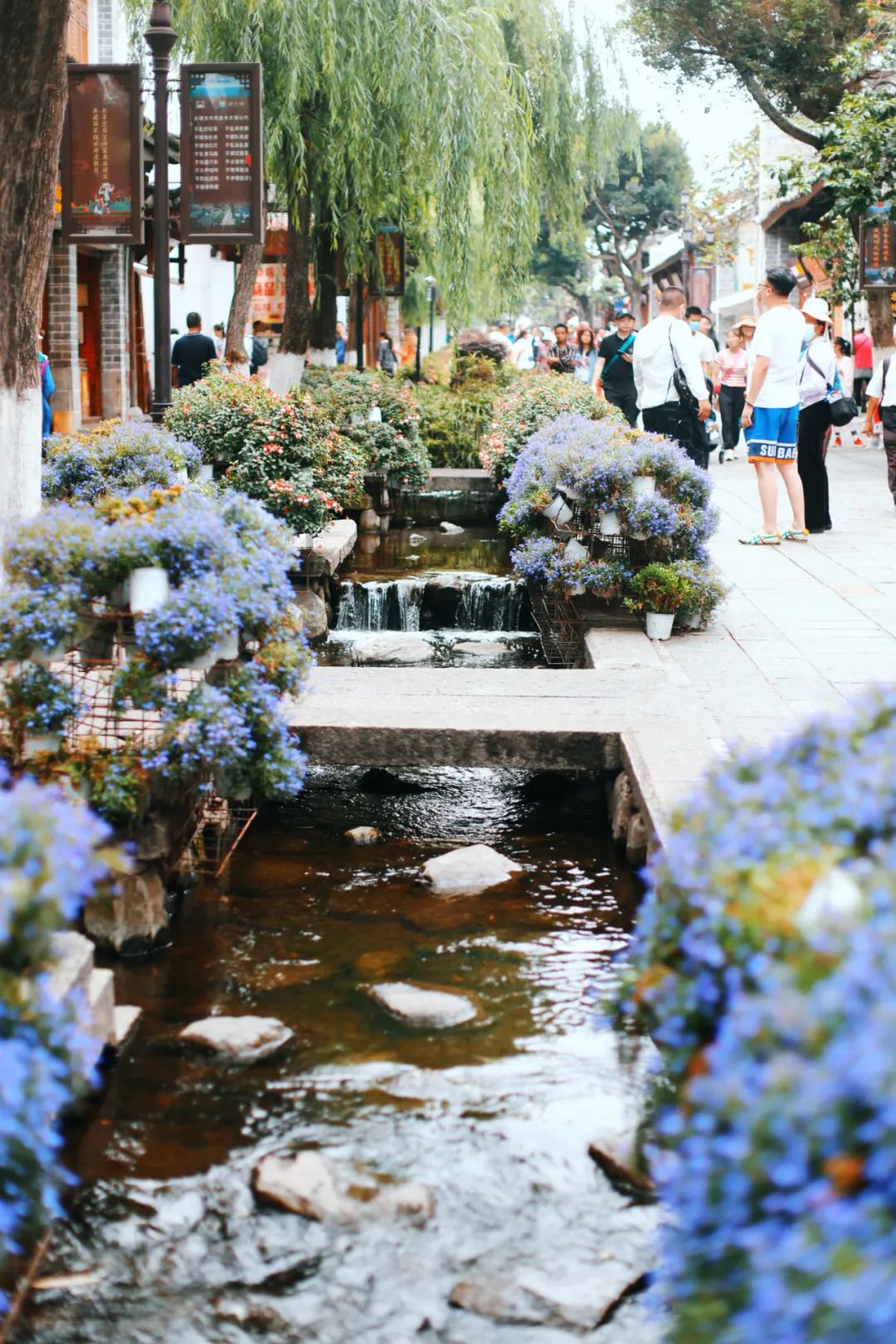 苏州旅行攻略女孩子,苏州旅游女生攻略