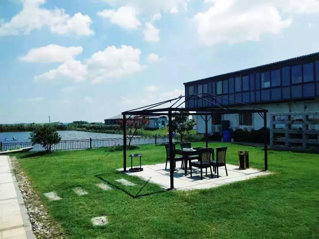 猎鹰飞行执照培训,猎鹰飞行员特训项目