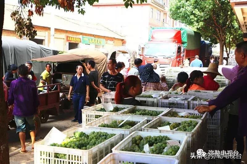 弥勒葡萄价格,弥勒葡萄卖5元一颗