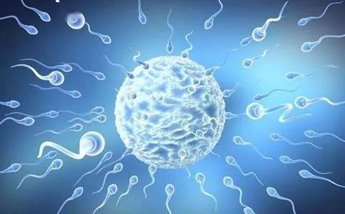 明明很相爱为什么要分开,精子和卵细胞相互排斥能医治吗