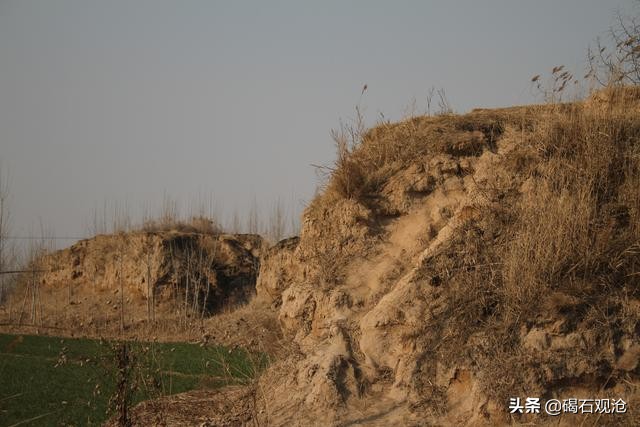 无棣信阳古城,无棣县信阳镇景点