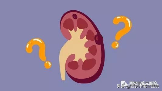 超声囊肿怎样描述,超声波检测有囊肿严重吗