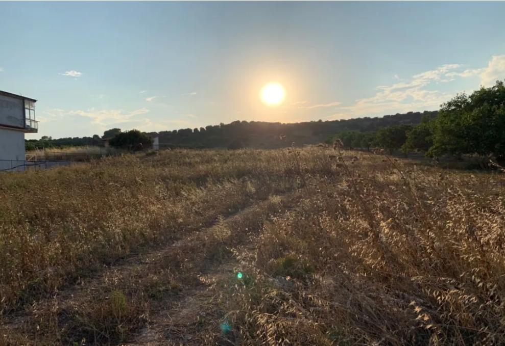 在希腊可以干嘛,在希腊的真实感受