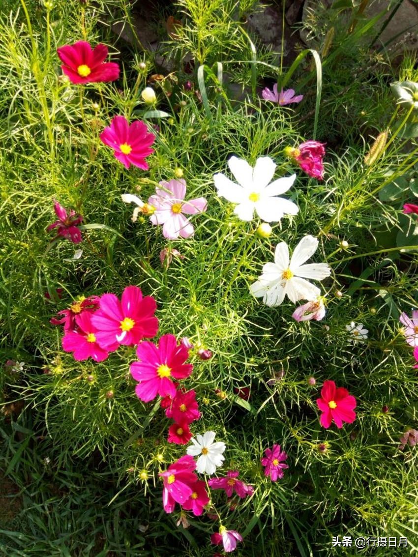 走进老乐山，徜徉如意湖，探访重阳登高之源