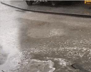 科普日锦囊——新一轮连阴雨来了，关注防范“雨天病”！