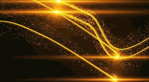 披荆斩棘砥砺前行|国贸学校、育才女校2020大事记