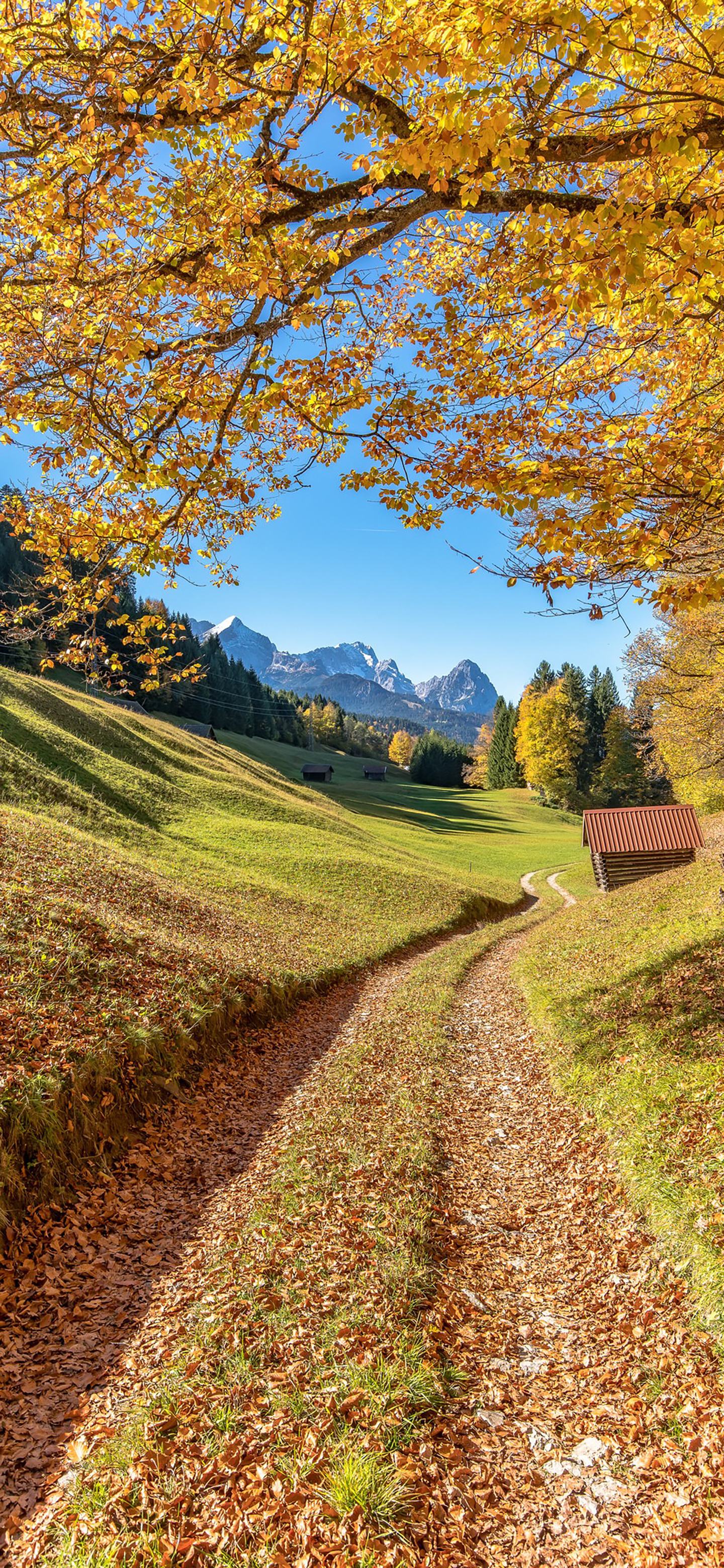 高清壁纸一起来感受大自然的美,高清风景壁纸长城风景