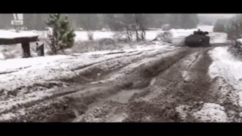 鼬鼠步兵战车,日耳曼鼬鼠坦克