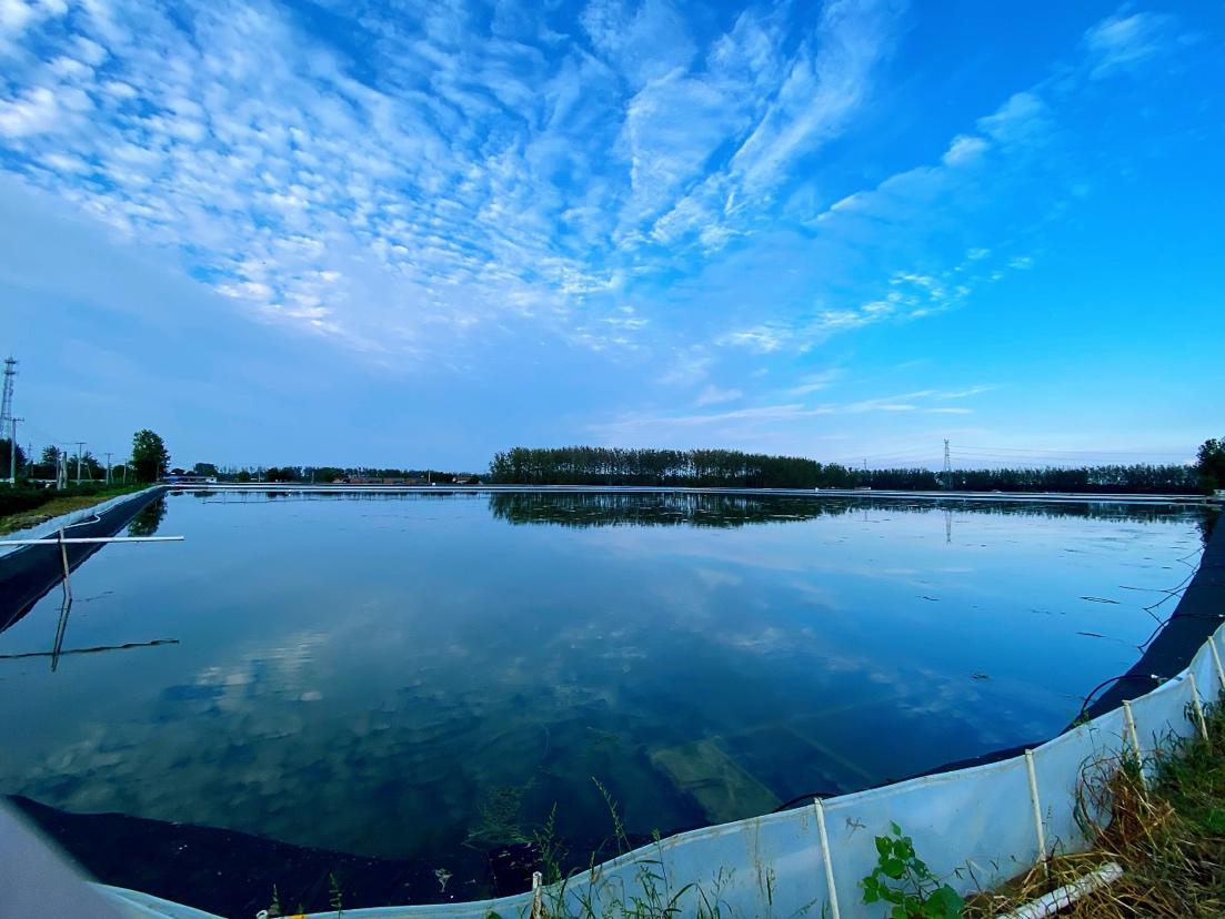 又是一年大闸蟹季,又到了河蟹收获季节