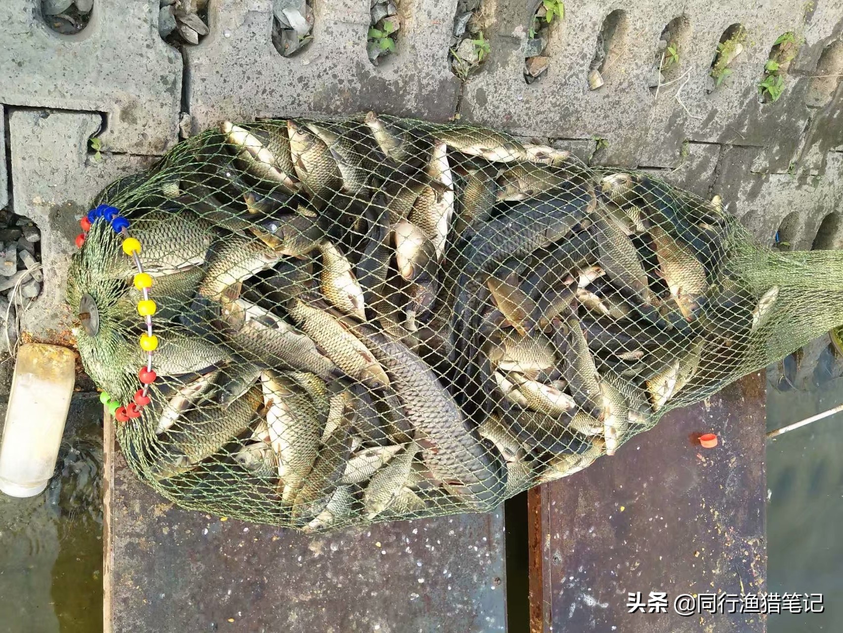 软粘饵的最佳态势,软黏饵的实战用法