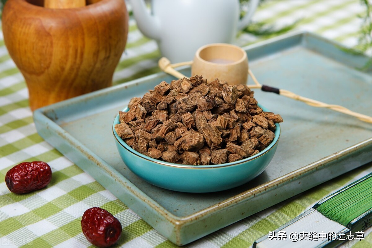 中医骨质疏松吃什么中草药,中医骨质疏松中药调理方法