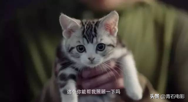 有一道光暖暖的洒下来歌词,一部让人心灵充满阳光的温情电影