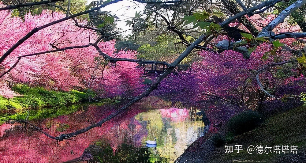 加州大学戴维斯分校和洛杉矶分校,加利福尼亚大学戴维斯分校qs