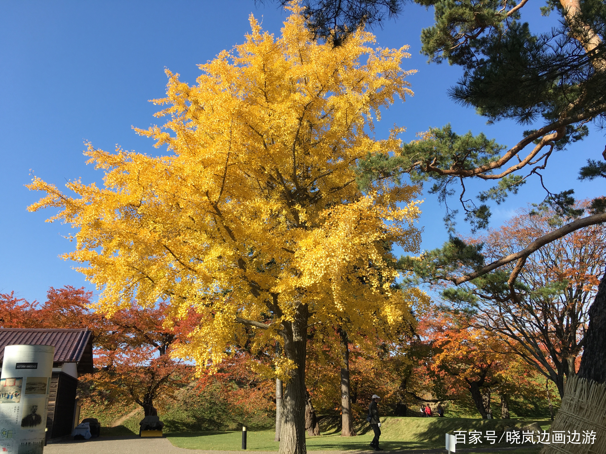 北海道函馆观光攻略,日本北海道函馆市夜景