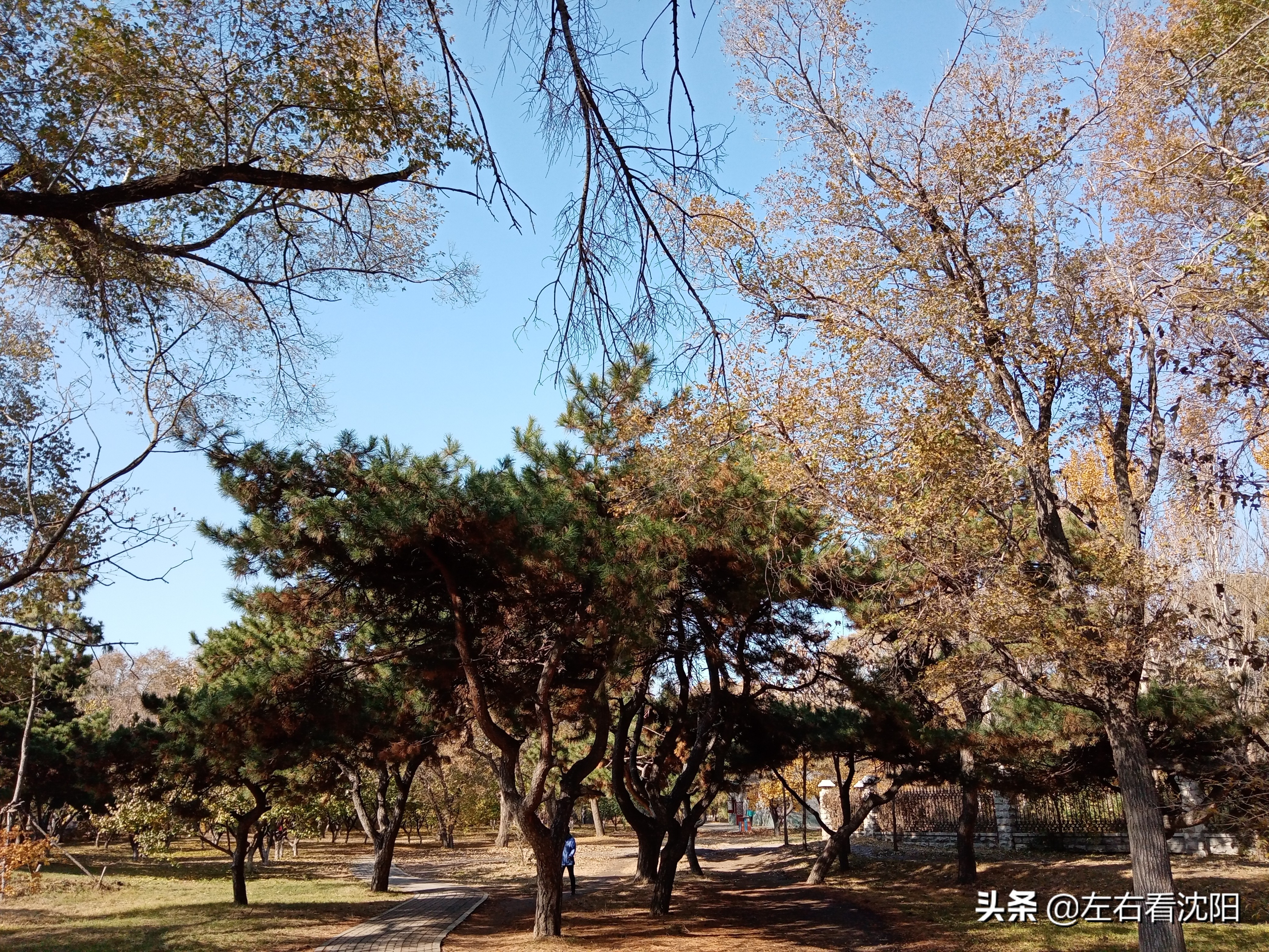 秋季沈阳北陵公园有啥好玩的,漫步沈阳北陵公园湖水边