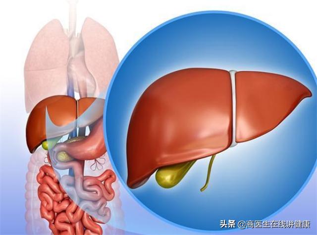 几年都在服用二甲双胍，真的不会损伤肝肾吗？听听医生怎么说