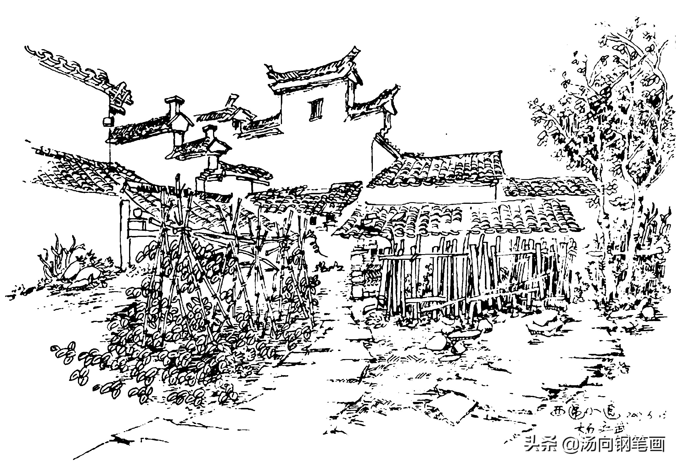 想学钢笔画如何入手教程,学习钢笔画用不用学素描