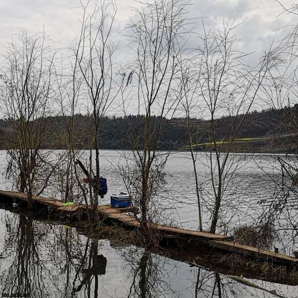 摩羊工坊测评,摩羊工坊怎么样