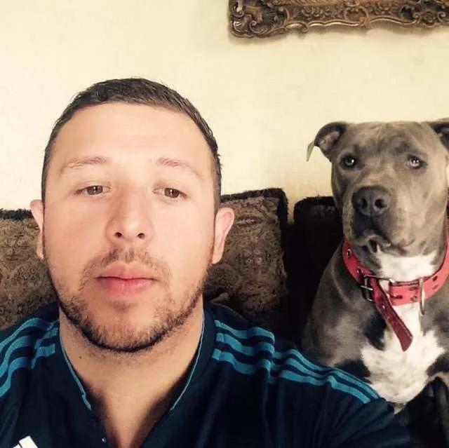 流浪猫和比特犬生小宝宝,比特犬和主人去狗窝