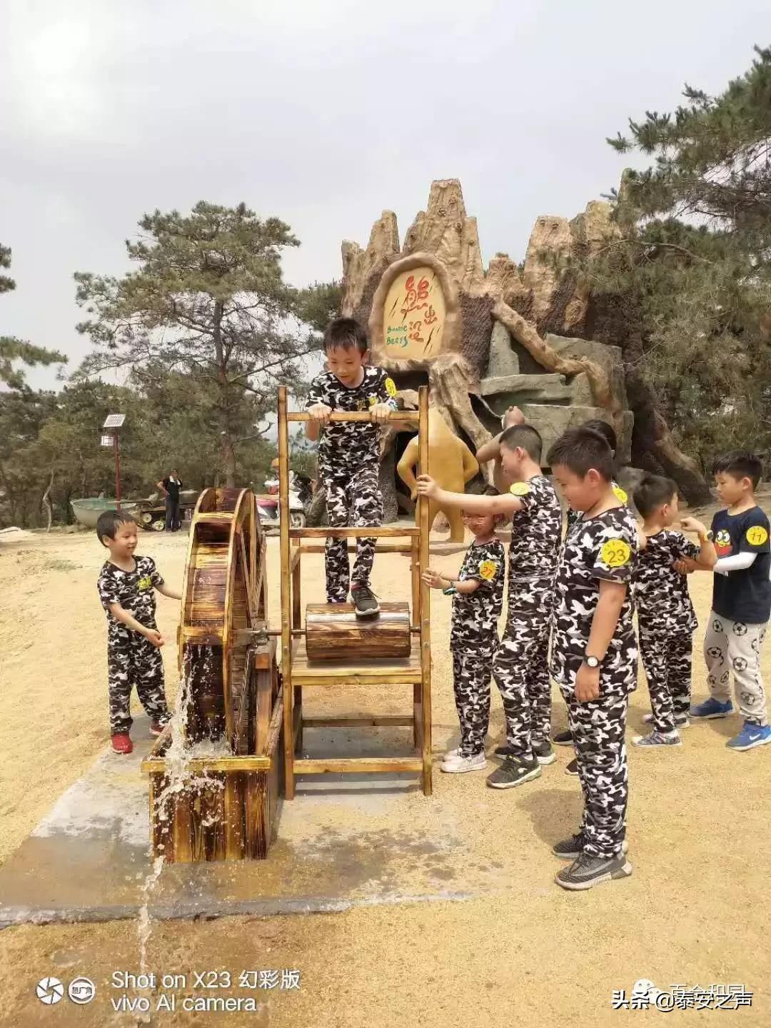 泰山百合和园简介,泰山百合和园