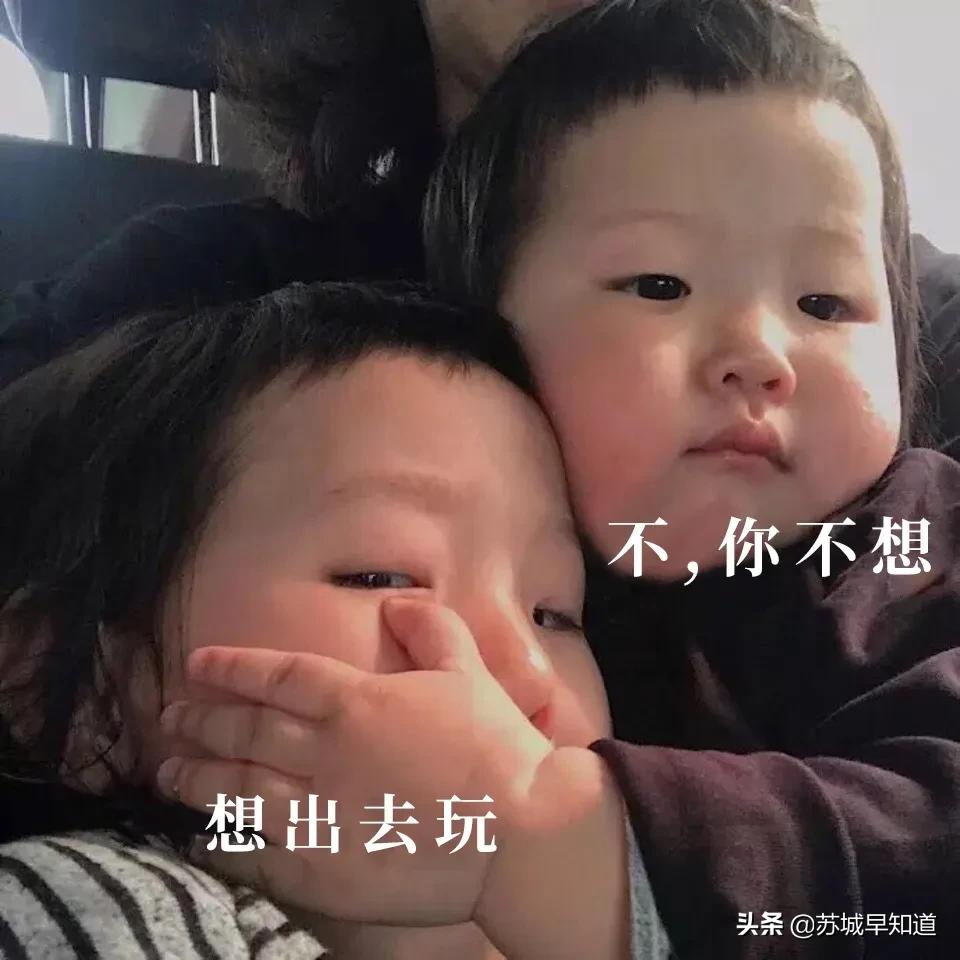 苏州体育馆免费开放,苏州市文化馆开馆时间