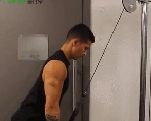 如何锻炼肱三头肌效果最好图解,肱三头肌千万别这样练