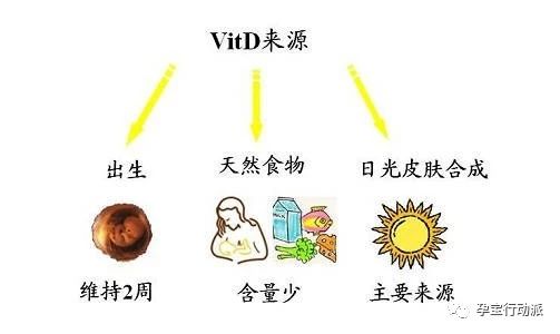 宝妈孕周刊,孕妇的第十周