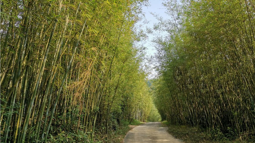 苏式园林温泉别墅,隐藏在山野的日系温泉别墅